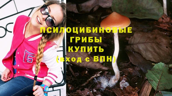 спиды Алексеевка