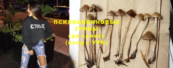спиды Алексеевка