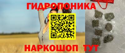 jwh Гудермес