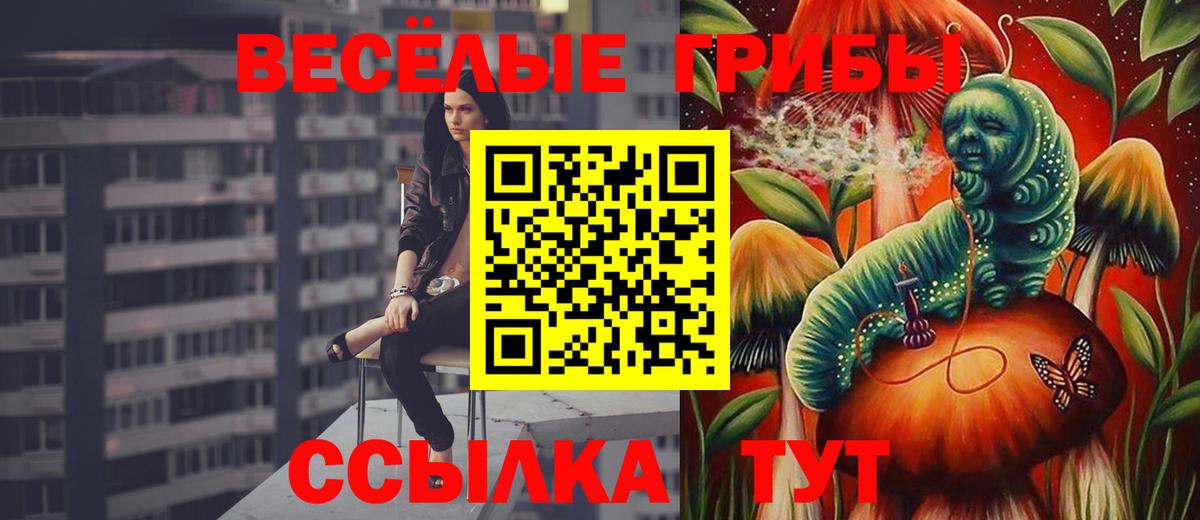 Псилоцибиновые грибы мухоморы Невинномысск