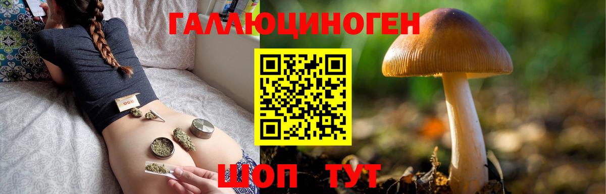 Невинномысск  Галлюциногенные грибы MAGIC MUSHROOMS  Вход с VPN  Галлюциногенные грибы прущие грибы 